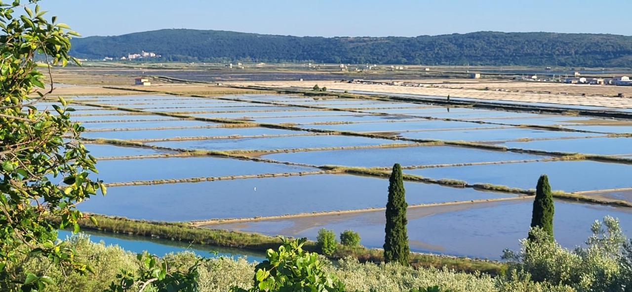 Apartment Salt Pans View Порторож Екстер'єр фото