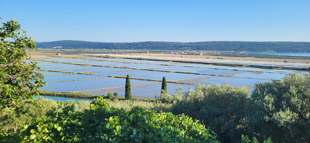 Apartment Salt Pans View Порторож Екстер'єр фото