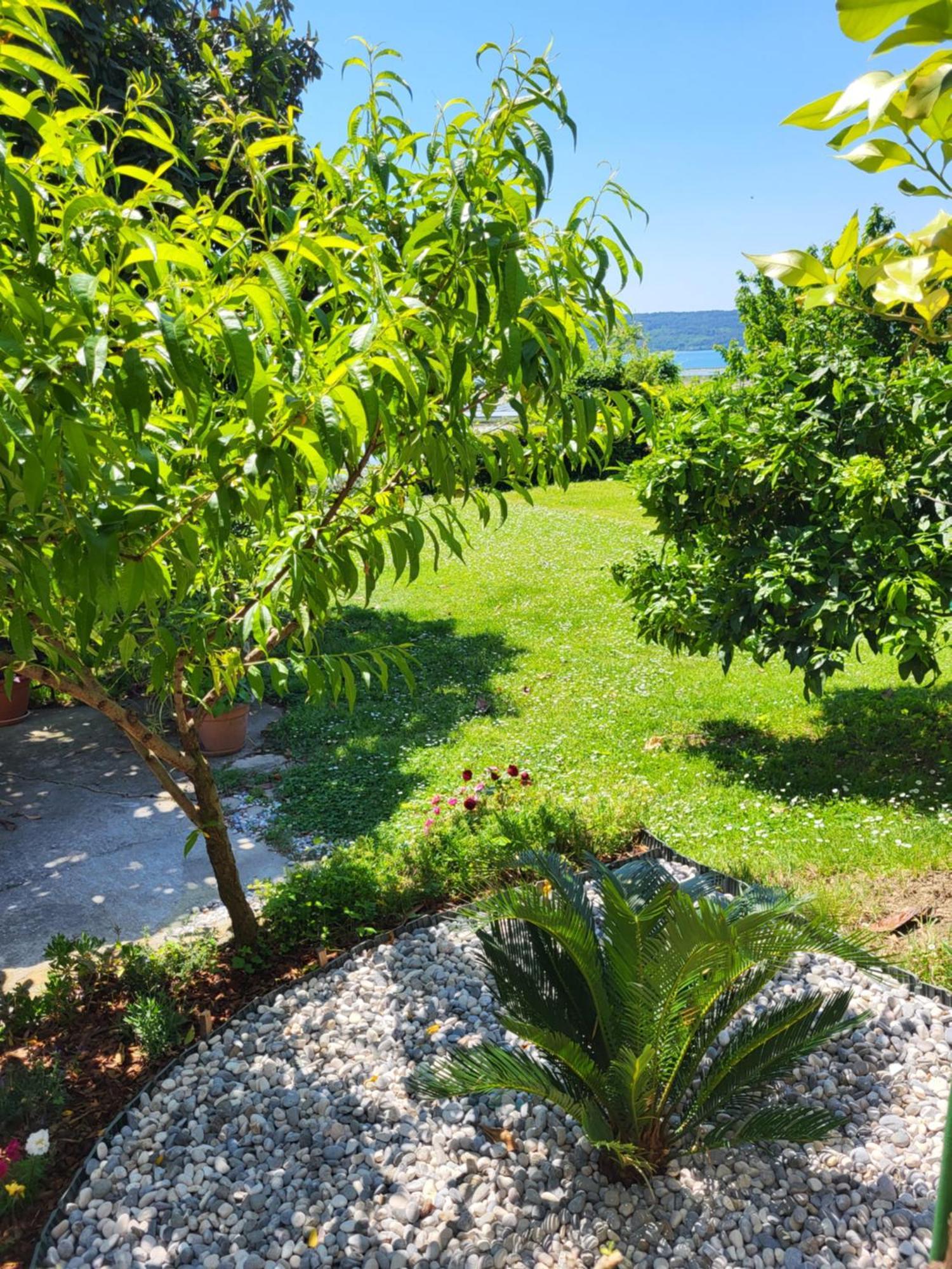 Apartment Salt Pans View Порторож Екстер'єр фото