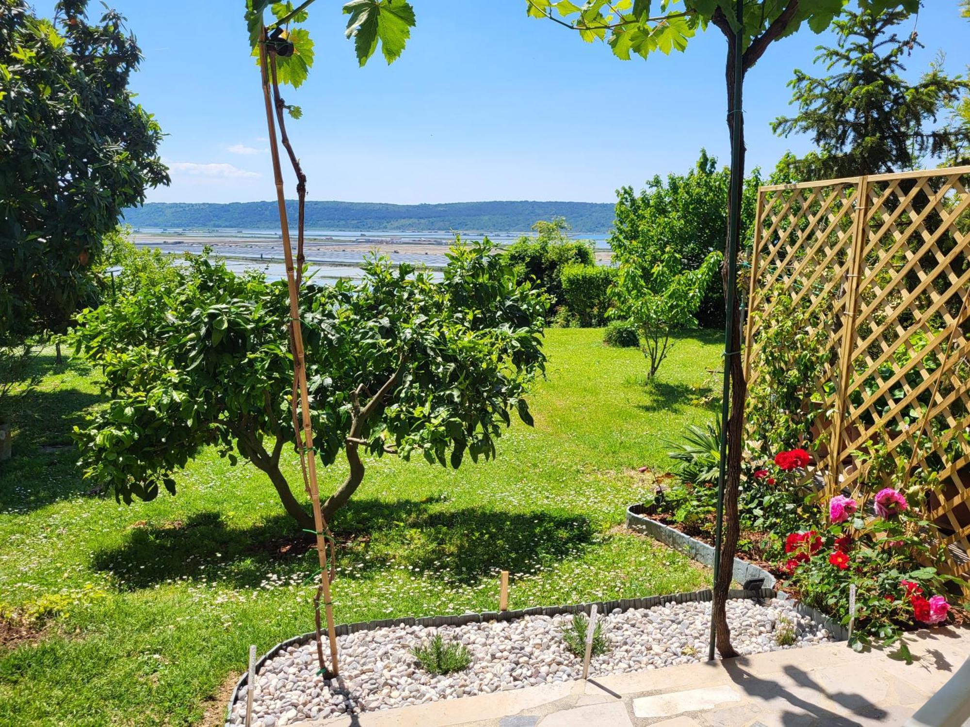 Apartment Salt Pans View Порторож Екстер'єр фото